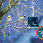 Characteristics and nature of Citizen Science in Europe today