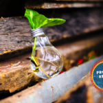 How to improve citizen science projects?